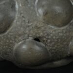 Pre-Columbian Chavin Ceramic Ritual Bottle - Image 12