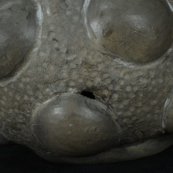 Pre-Columbian Chavin Ceramic Ritual Bottle - Image 12