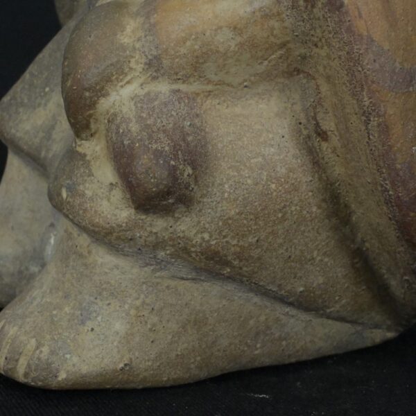 Pre-Columbian Moche Warrior Ceramic Bottle - Image 13