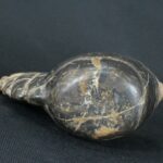 Pre-Columbian Inca Stone Conopa Alpaca Figurine - Image 10