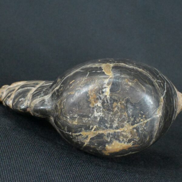 Pre-Columbian Inca Stone Conopa Alpaca Figurine - Image 10