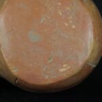 Pre-Columbian Moche Bird Whistling Vessel Artifact - Imagen 10