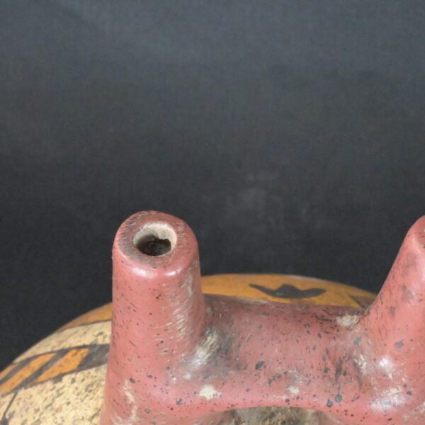 Pre-Columbian Nazca Ceramic Ritual Bottle with Insect Motifs - Image 13