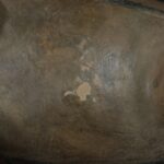 Pre-Columbian Nazca Ceramic Ritual Bottle - Imagen 11