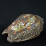 Pre-Columbian Moche Pututu with Precious Stone Inlays