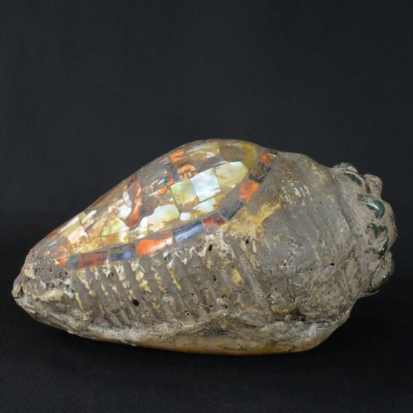 Pre-Columbian Moche Pututu with Precious Stone Inlays - Image 2