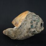 Pre-Columbian Moche Pututu with Precious Stone Inlays - Imagen 7