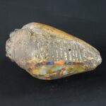 Pre-Columbian Moche Pututu with Precious Stone Inlays - Imagen 9