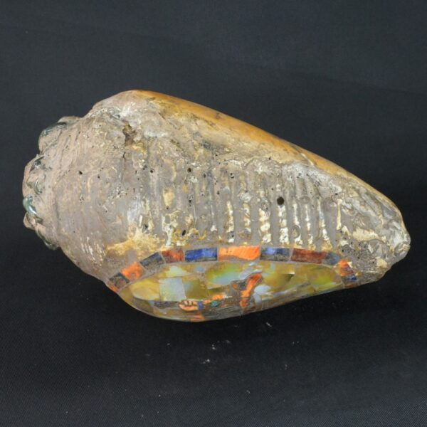 Pre-Columbian Moche Pututu with Precious Stone Inlays - Image 9