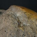 Pre-Columbian Moche Pututu with Precious Stone Inlays - Imagen 13