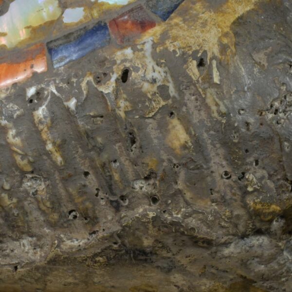 Pre-Columbian Moche Pututu with Precious Stone Inlays - Image 19