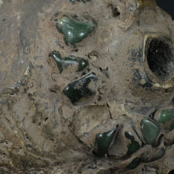 Pre-Columbian Moche Pututu with Precious Stone Inlays - Image 20