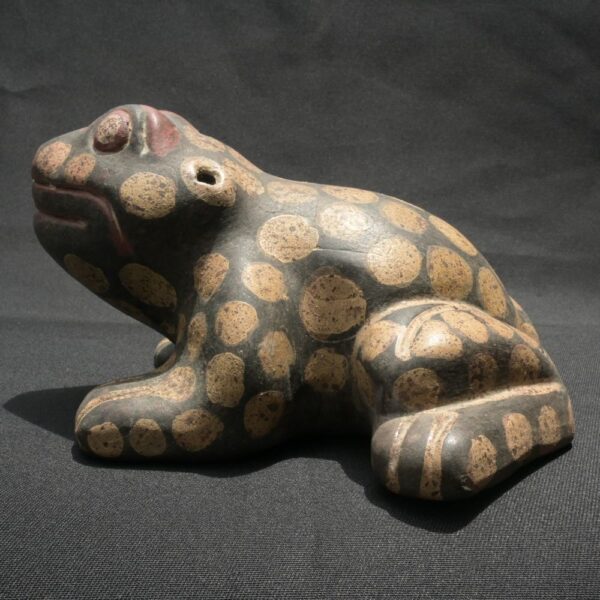 Pre-Columbian Tiahuanaco Ceramic Frog Vessel - Image 5