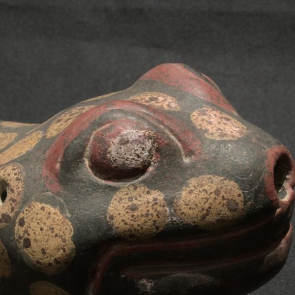 Pre-Columbian Tiahuanaco Ceramic Frog Vessel - Image 12