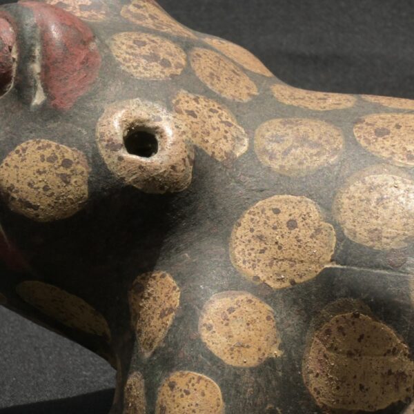 Pre-Columbian Tiahuanaco Ceramic Frog Vessel - Image 14