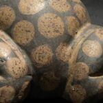 Pre-Columbian Tiahuanaco Ceramic Frog Vessel - Imagen 15