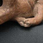 Precolumbian Moche Ceramic Whistle - Ancient Ritual Artifact - Imagen 16