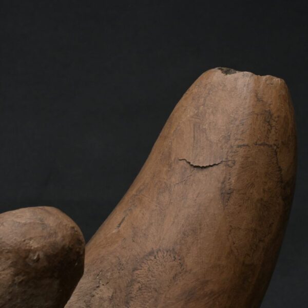 Precolumbian Moche Ceramic Whistle - Ancient Ritual Artifact - Image 18