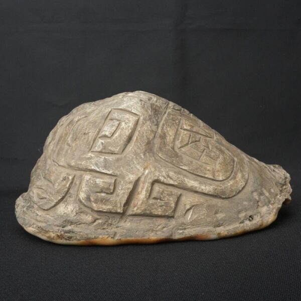 Pre-Columbian Moche Pututu Ceremonial Conch - Image 2