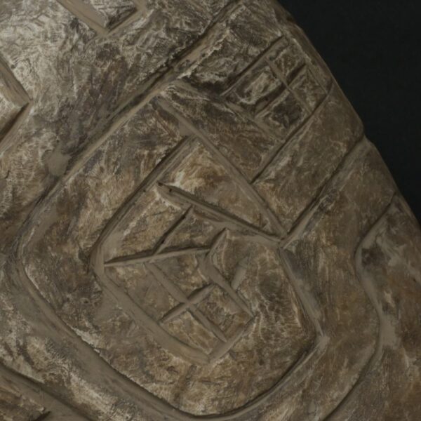 Pre-Columbian Moche Pututu Ceremonial Conch - Image 13