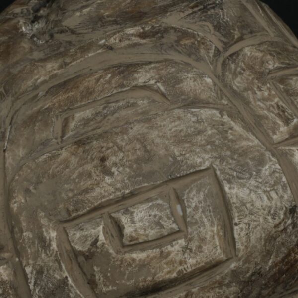 Pre-Columbian Moche Pututu Ceremonial Conch - Image 14