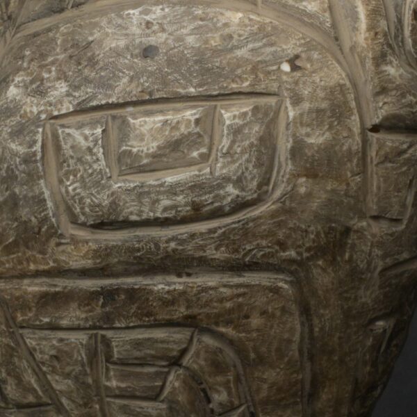 Pre-Columbian Moche Pututu Ceremonial Conch - Image 15