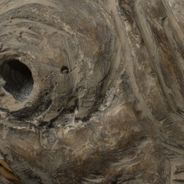 Pre-Columbian Moche Pututu Ceremonial Conch - Image 16