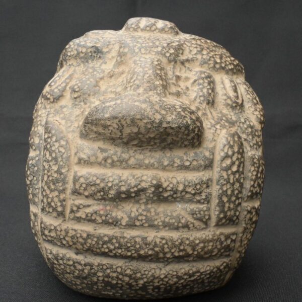 Pre-Columbian Moche Ceremonial Head Sculpture - Image 2