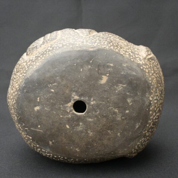 Pre-Columbian Moche Ceremonial Head Sculpture - Image 10