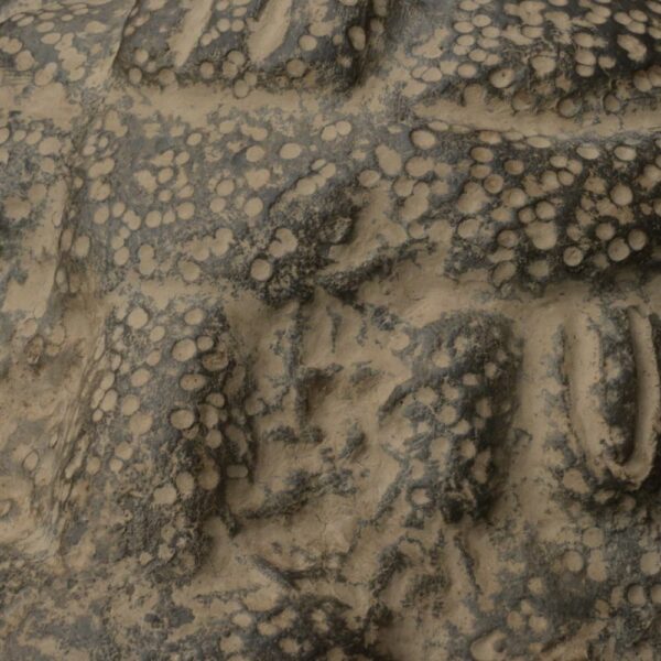 Pre-Columbian Moche Ceremonial Head Sculpture - Image 13