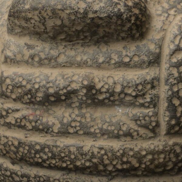 Pre-Columbian Moche Ceremonial Head Sculpture - Image 14