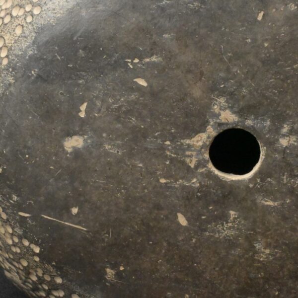 Pre-Columbian Moche Ceremonial Head Sculpture - Image 15