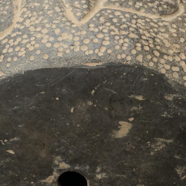 Pre-Columbian Moche Ceremonial Head Sculpture - Image 16