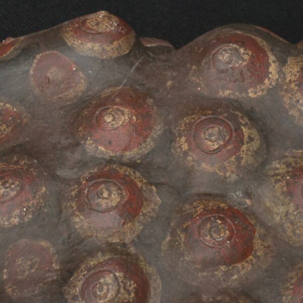 Pre-Columbian Tiahuanaco Frog Ceramic Figurine - Image 12