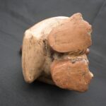 Precolumbian Moche Ceramic Owl Bottle Artifact - Imagen 11