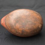 Pre-Columbian Nasca Ritual Ceramic Bottle with Animal Design - Imagen 10