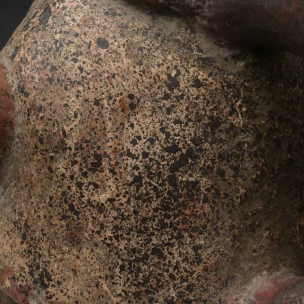 Pre-Columbian Moche Warrior Priest Ceramic Artifact - Image 16