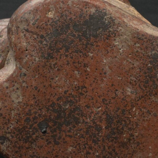 Pre-Columbian Moche Warrior Priest Ceramic Artifact - Image 18