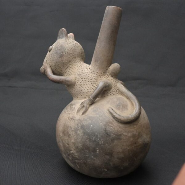 Pre-Columbian Lambayeque Rodent Ceramic Whistle Artifact - Image 2