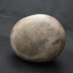 Pre-Columbian Lambayeque Rodent Ceramic Whistle Artifact - Imagen 10