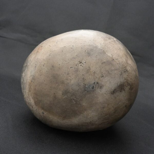 Pre-Columbian Lambayeque Rodent Ceramic Whistle Artifact - Image 10