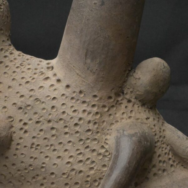 Pre-Columbian Lambayeque Rodent Ceramic Whistle Artifact - Image 13