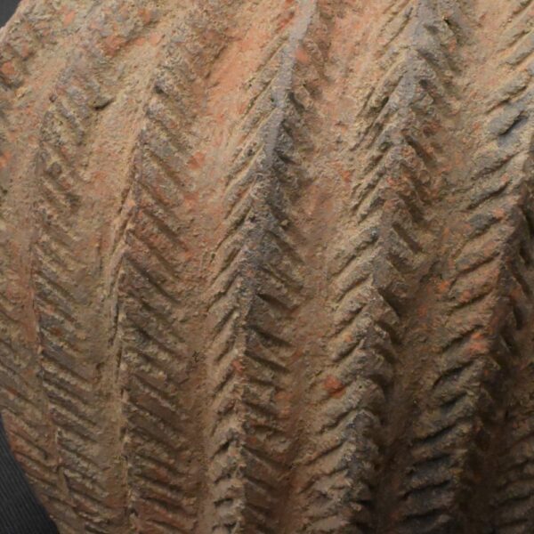 Pre-Columbian Chavin Ritual Ceramic Bottle - Image 15