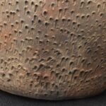 Pre-Columbian Chavin Ritual Ceramic Bottle - Imagen 17