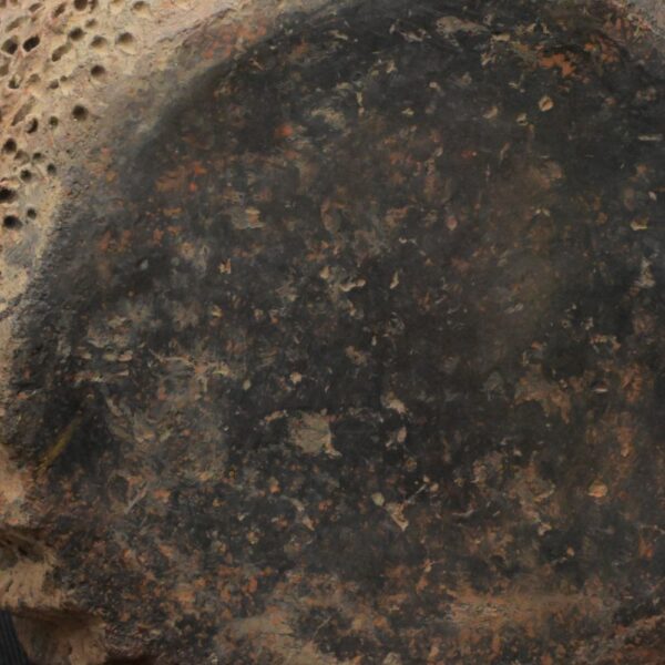 Pre-Columbian Chavin Ritual Ceramic Bottle - Image 20