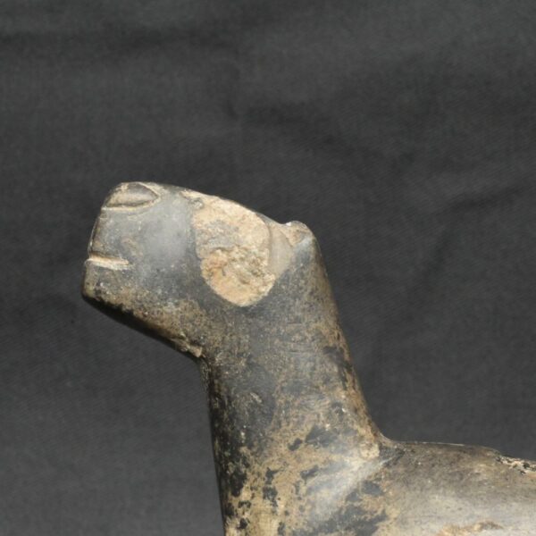 Pre-Columbian Inca Stone Conopa Llama Figurine - Image 11