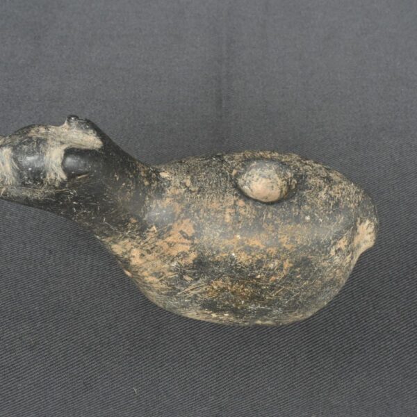 Pre-Columbian Inca Stone Conopa Llama Figurine - Image 9