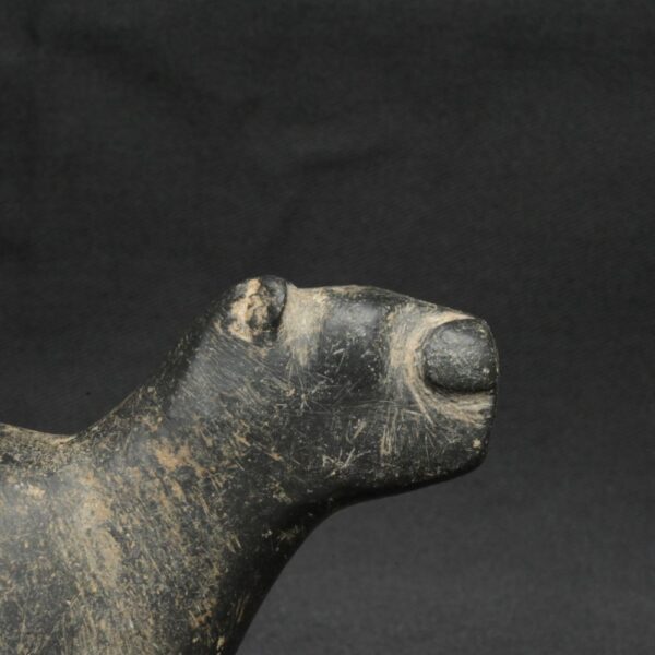 Pre-Columbian Inca Stone Conopa Llama Figurine - Image 14