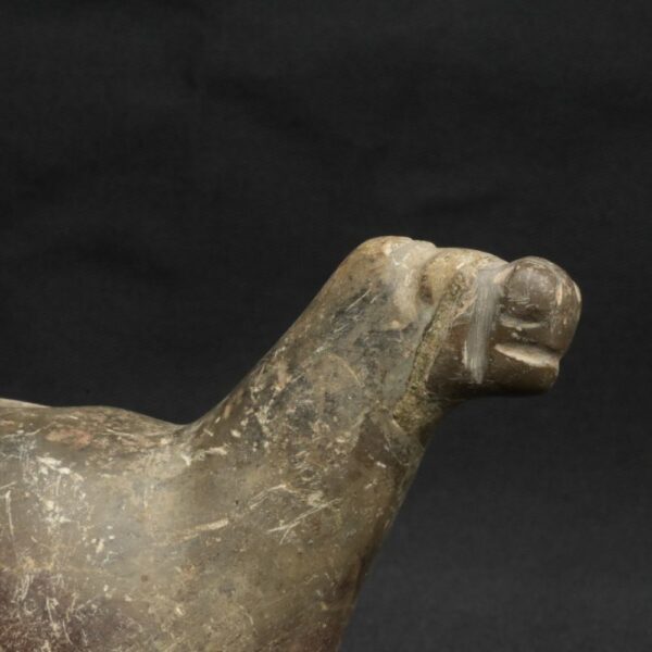 Pre-Columbian Inca Stone Conopa Llama Figurine - Image 16
