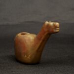 Conopa inca - Image 6